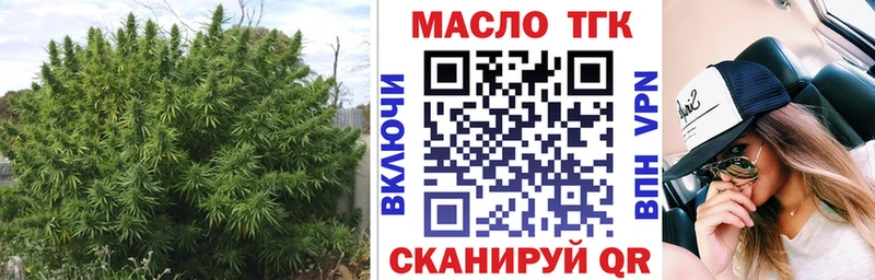ТГК гашишное масло  Купить закладки  Полярные Зори 