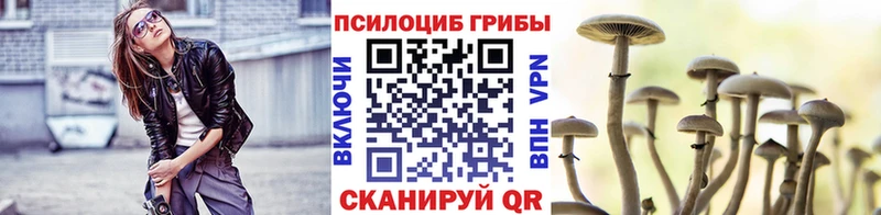Псилоцибиновые грибы прущие грибы Купить где Полярные Зори